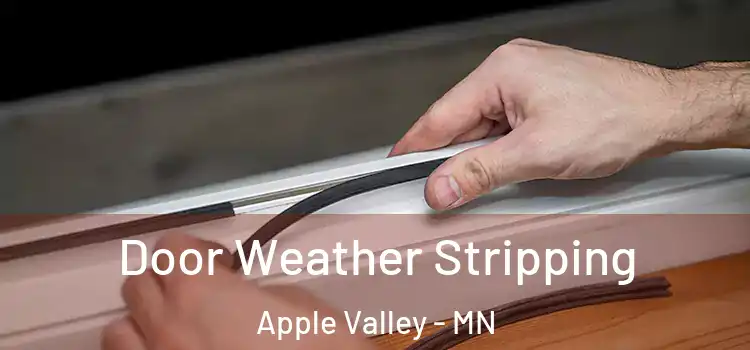 Door Weather Stripping Apple Valley - MN
