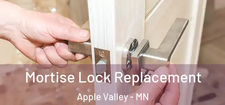 Mortise Lock Replacement Apple Valley - MN